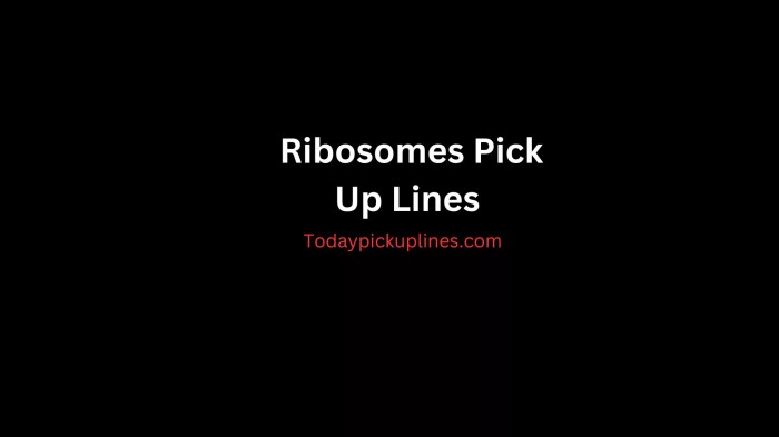 Pick up lines for ribosomes