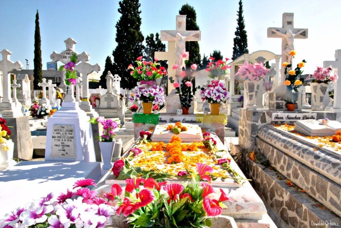 Muertos altar calavera festeja panteon zocalo panteones ofrenda centrosdemesaparabautizos altares flores panteón catrinas