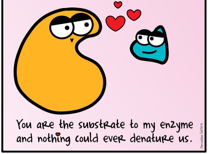 Pick up lines for ribosomes