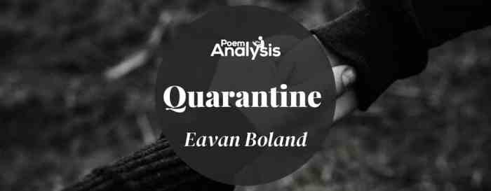 The pomegranate eavan boland analysis