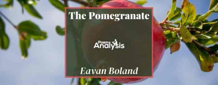 The pomegranate eavan boland analysis