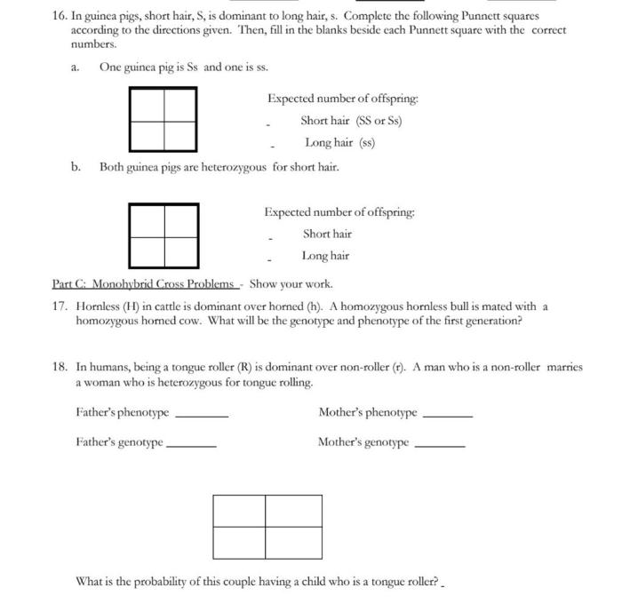 Monohybrid cross worksheet 1 answer key