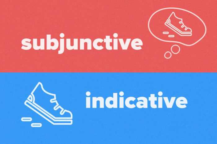 Spanish subjunctive indicative study