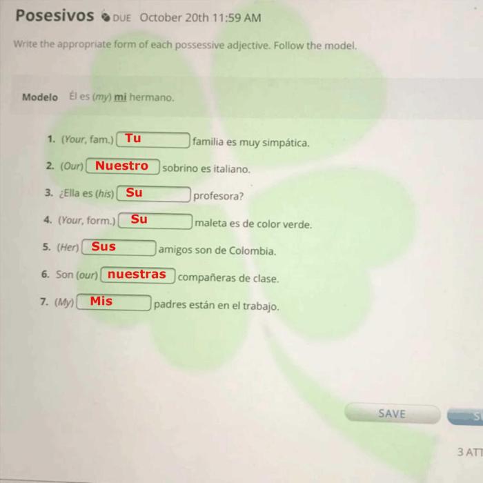 Answer each question affirmatively using the correct possessive adjective