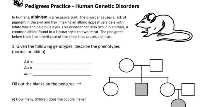 Pedigrees practice - human genetic disorders worksheet answers