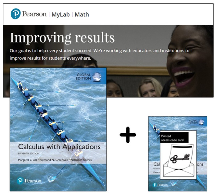Calculus and its applications 12th edition pdf free