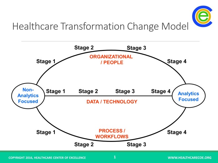 Organizational systems and healthcare transformation - d221