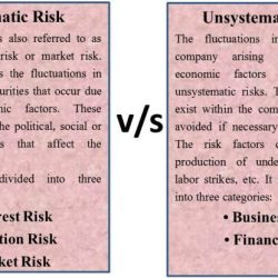 Unsystematic ppt defined