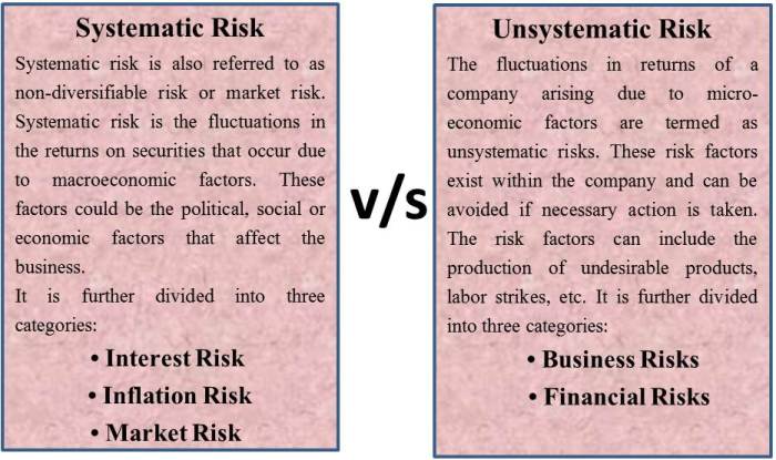 Unsystematic ppt defined