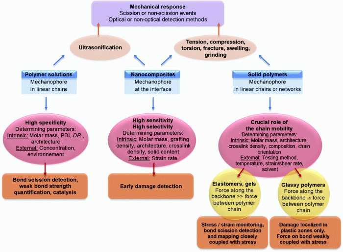 Student exploration polarity and intermolecular forces